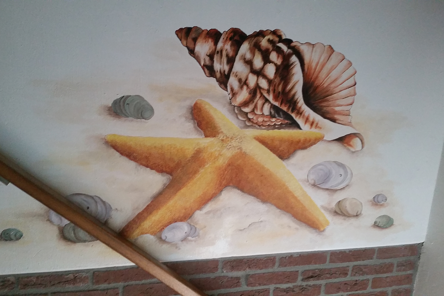muurschildering schelpen zeester