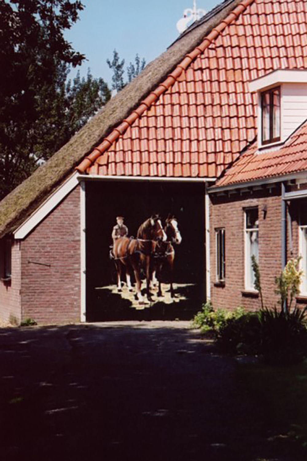 muurschildering paarden op staldeuren